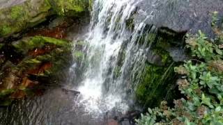 Descubre el fascinante nacimiento del río Subachoque ¡Un tesoro natural en peligro [upl. by Apfelstadt]