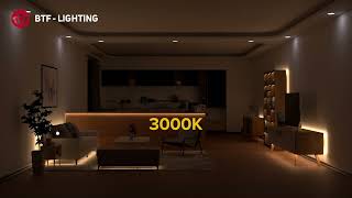 BTFLIGHTING FCOB LED Light Monochromatic Strip Light 3000K4000K6000K [upl. by Assilav]