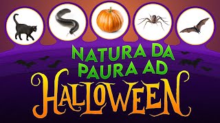 Natura da paura ad Halloween 🎃 ► Puntata Speciale 3 [upl. by Apple]