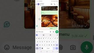 How to View All Commands on WhatsApp Bot Using menu Command [upl. by Claudetta366]