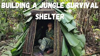 Building a jungle survival shelter wildernesssurvival outdooradventure [upl. by Ilak]