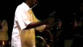 Thomas Mapfumo  Bhutsu Mutandarika Live [upl. by Ramah]