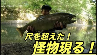 「渓流釣り」怪物現る！６７センチの超大物！ [upl. by Ahsoet]