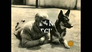 The legend of Rin Tin Tin [upl. by Ebonee]