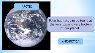 About Polar Habitats  Kids Science amp Animals  HandsOn Education [upl. by Laehcor949]