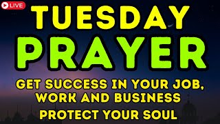 BEAUTIFUL TUESDAY DUAS  Get Success In Your Job Work And Business  Protect Your Soul [upl. by Justinn]