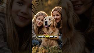 Golden Retriever Things To Know [upl. by Sair]