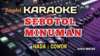 SEBOTOL MINUMAN KARAOKE NADA COWOK  BAGUS ELBASS [upl. by Pompea]