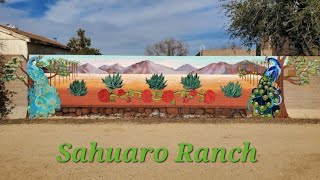 03032024 Sahuaro Ranch Park [upl. by Lebanna166]