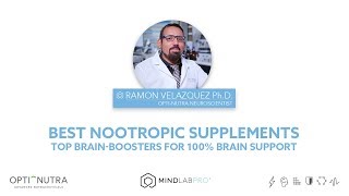 The Best Nootropic Supplements with Dr Ramon Velazquez PhD  Mind Lab Pro® [upl. by Iluj]