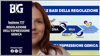 REGOLAZIONE DELLESPRESSIONE GENICA  LE BASI [upl. by Jemine]