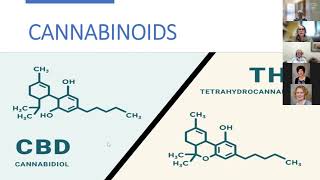 Introduction to Medical Cannabis [upl. by Narruc959]