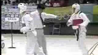 1988 Taekwondo Olympic Highlights [upl. by Ximenez]