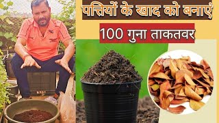 HOW TO MAKE POWERFUL ORGANIC FERTILIZER  ताकतवर जैविक खाद [upl. by Nally265]