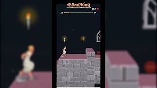 Secrets of Prince of Persia Escape  Levels 2029  Android Gameplay [upl. by Jaddan888]