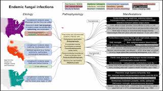 Endemic fungal infections Histoplasmosis ParaCoccidioidomycosis Blasto mechanism of disease [upl. by Atinid]