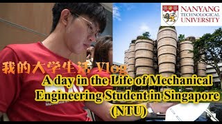 Vlog 1  我的南大日常 A day in the Life of Mechanical Engineering Student in Singapore NTU [upl. by Kippy]