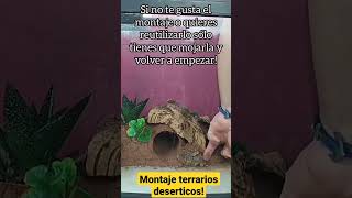 MONTAJE TERRARIO DESÉRTICOSustrato EXCAVATOR shorts tutorial reptile [upl. by Creedon]