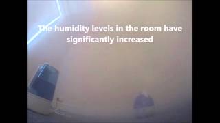 TIME LAPSE SALT DAMP ON A DAMP CHIMNEY BREAST [upl. by Volnay]