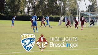 AMICHEVOLE  BRESCIABELLINZONA 11  HIGHLIGHTS [upl. by Moclam]