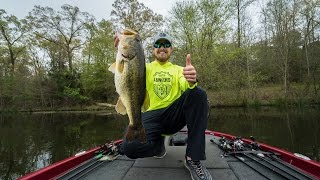 Sight Fishing for the BIGGEST BASS OF MY LIFE  NEW Personal Best [upl. by Zamir]