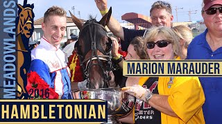 2016 Hambletonian Final  Marion Marauder [upl. by Moises]