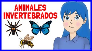 Los ANIMALES INVERTEBRADOS clasificación y EJEMPLOS [upl. by Atel]