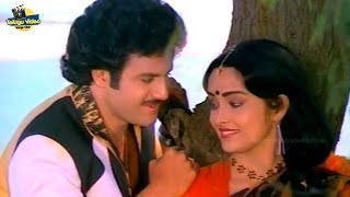 BALAKRISHNA RAJANI RALLALLO ISAKALLO VIDEO SONG  SEETHARAMA KALYANAM MOVIE [upl. by Horacio320]