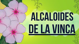 Alcaloides de la vinca Antineoplásicos cancertreatment Antimicrotúbulos [upl. by Enibas]