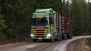 76TonnenHolztransporte mit dem neuen 770 PS starken Scania V8 [upl. by Adiela]