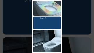 Kerovit Smartwash Toilet  WinterEssentials [upl. by Nodnab]