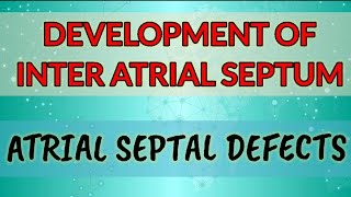 Development of Interatrial septumHUMAN EMBRYOLOGY [upl. by Imeon]