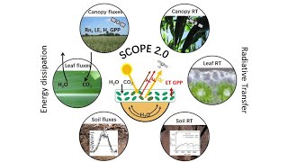 1 SCOPE introduction [upl. by Benito]