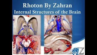 Rhoton By Zahran 8 Internal Structures of the Brain [upl. by Eillek485]