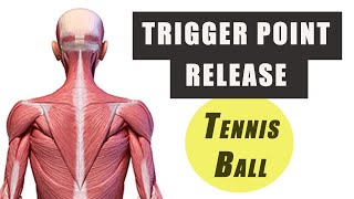 Trigger Point Release with a Tennis Ball  Upper Trap Levator Scapulae and Mid TrapRhomboids [upl. by Ricoriki]