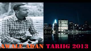 AWALE ADAN 2013 TIRIIG OFFICIAL SONG BY STUDIO LIIBAAN [upl. by Ymiaj]