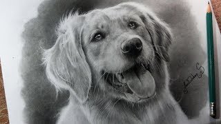 Como DIBUJAR un perro REALISTA🐶► Aprende a hacer PELAJE realista TUTORIAL  Muy fácil😱 [upl. by Nehgem25]