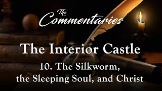 Episode 10 The Silkworm The Sleeping Soul and Christ  The Commentaries The Imitation of Christ [upl. by Ativla]