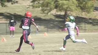 10u Fultondale Wildcats vs Crestwood colts Highlights [upl. by Asor966]