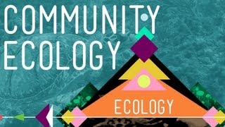 Community Ecology Feel the Love  Crash Course Ecology 4 [upl. by Betti739]