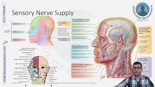 Innervation of Face [upl. by Nyrmac]