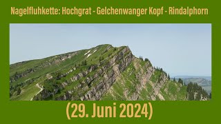 Nagelfluhkette Hochgrat  Gelchenwanger Kopf  Rindalphorn 29 Juni 2024 [upl. by Nanek]