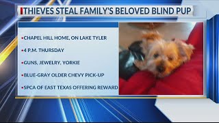 DOGNAPPING Thieves steal familys beloved blind pup [upl. by Lathrope586]