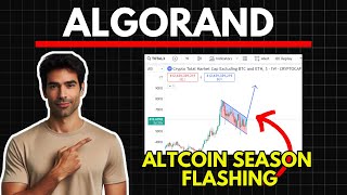 ALGORAND Massive Altcoin Season Update  Algorand Price Prediction [upl. by Earized]