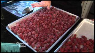 Preserving Berries [upl. by Damiano]