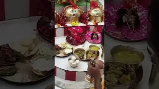 song  Kartik Ekadashi कान्हा सेवा श्री दुर्गेश्वरी दरबार🙏🏻🌹❤ [upl. by Ratna494]