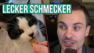 Katzen haben sich richtig gutes Futter bestellt [upl. by Myra]