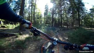 Lets Ride MTB  Heidelberg  Weißer Stein  Dossenheim DH 16102016 [upl. by Dine983]