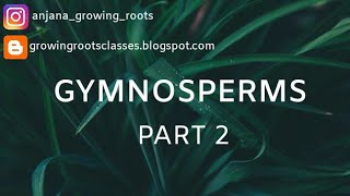 GYMNOSPERMS PINUS  PART 2 detailed explanation in malayalm മലയാളം [upl. by Wavell]