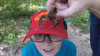 Herping Minnesota  Epic Hunt For Crayfish   At Mayowood In Rochester Minnesota [upl. by Gottuard]